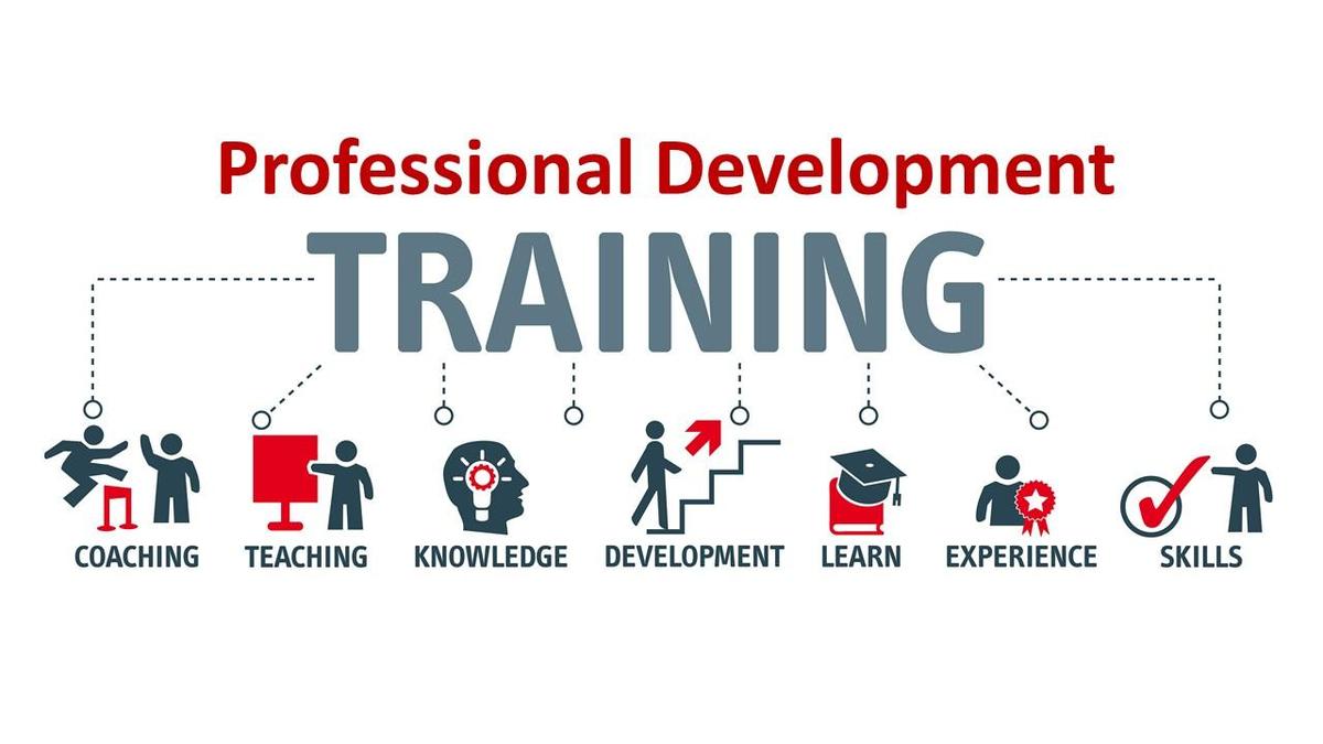 Professional Development Nurturing Growth and Success